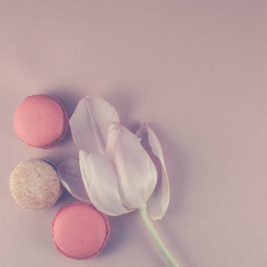 Düz macaroons ve Pembe Lale ile yaprakları yatıyordu