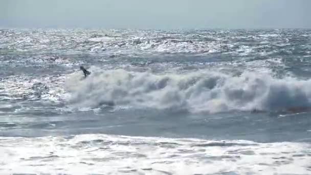 Silhouette Surfisti Sulle Onde Dell Oceano Atlantico Nei Pressi Capbreton — Video Stock