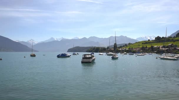 Łodzi Pływających Jezioro Thun Oberland Berneński Szwajcaria — Wideo stockowe