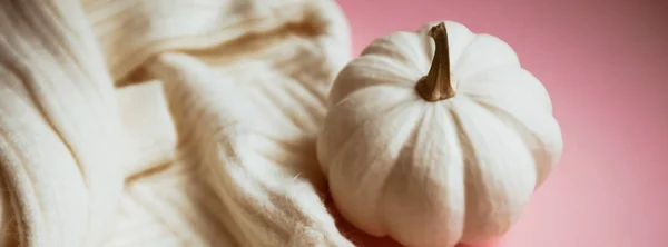白いセーターとカボチャの秋の組成物 — ストック写真