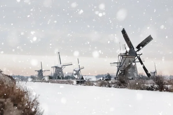 Väderkvarnar i Kinderdijk, Nederländerna på vintern — Stockfoto