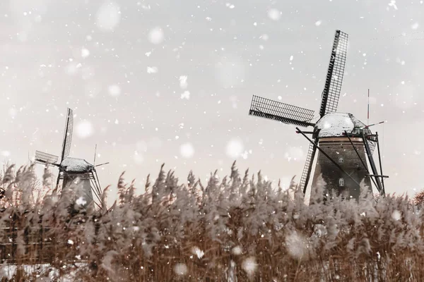 Větrné mlýny v Kinderdijk, Nizozemsko v zimě — Stock fotografie