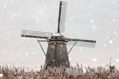 Kinderdijk, Hollanda 'daki yel değirmenleri