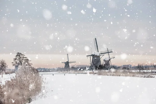 Větrné mlýny v Kinderdijk, Nizozemsko v zimě — Stock fotografie