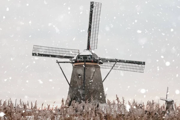 Windmills in Kinderdijk, The Netherlands in winter — Stock Photo, Image