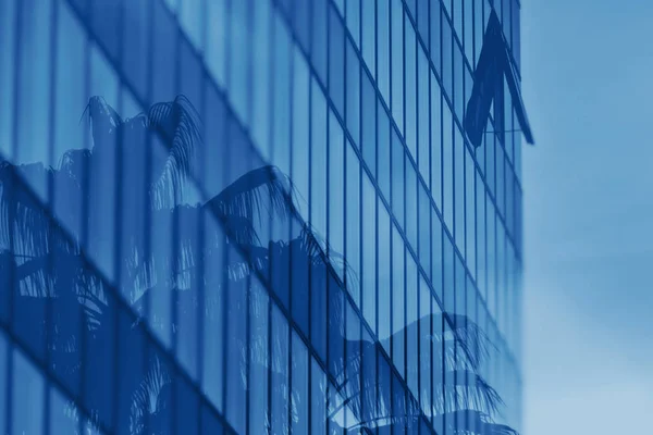 Отражение пальм в стеклянной стене офисного здания — стоковое фото