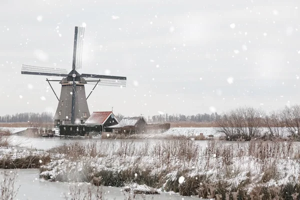 Väderkvarnar i Kinderdijk, Nederländerna på vintern — Stockfoto