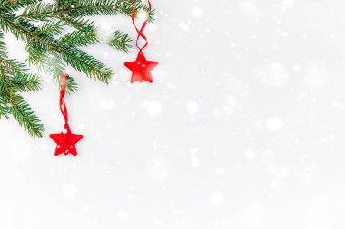 Beyaz arka planda Noel köknar ağacı dalı