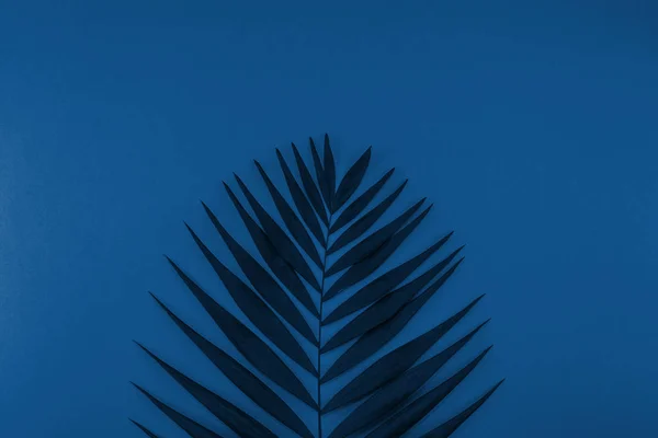Tropické palmové listy pozadí modrý tónovaný — Stock fotografie