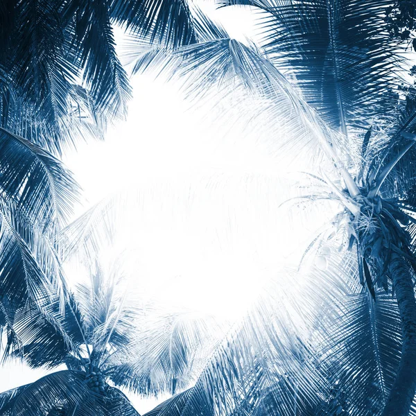 Tropical Palms vzor rám klasický modrý tónovaný — Stock fotografie