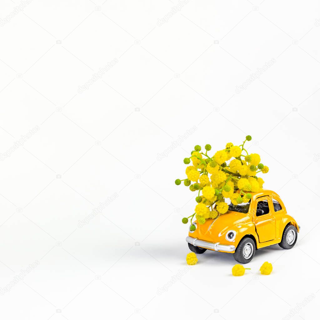 Car toy model delivering bouquet of mimosa flowers
