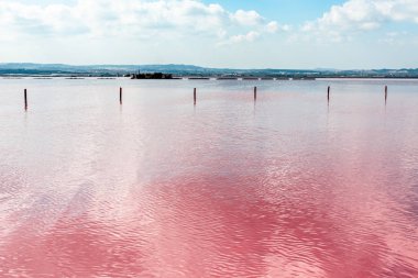 İspanya, Alicante 'deki Torrevieja Pembe Gölü