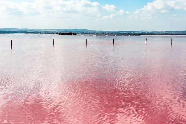 Jezioro Torrevieja Pink w Alicante, Hiszpania — Zdjęcie stockowe