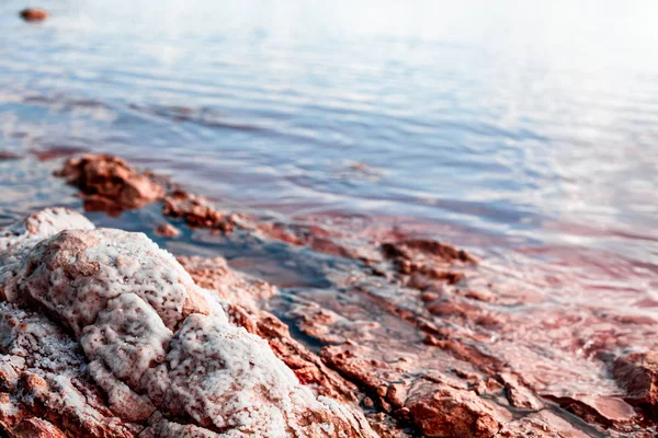 Torrevieja Pink Lake v Alicante, Španělsko — Stock fotografie