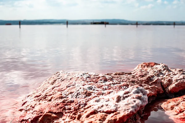 Jezioro Torrevieja Pink w Alicante, Hiszpania — Zdjęcie stockowe