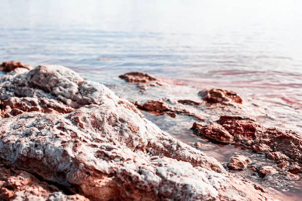 Jezioro Torrevieja Pink w Alicante, Hiszpania — Zdjęcie stockowe