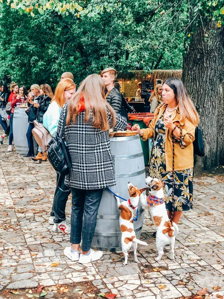 Niedliche Hunde und ihr Besitzer auf Street Food-Markt — Stockfoto