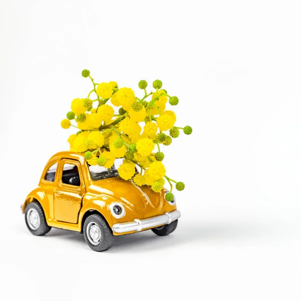 Car toy model delivering bouquet of mimosa flowers