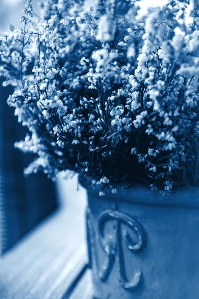 Fleurs Bruyère Blanche Pot Debout Sur Table Bois Extérieur Couleur — Photo