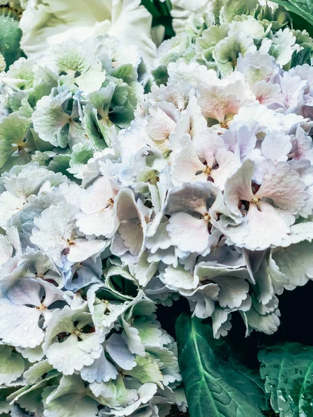 フランス市場に水滴が付いた花束の中の美しい白いアジサイの花の終わり トーニング付きモバイル縦型写真 — ストック写真