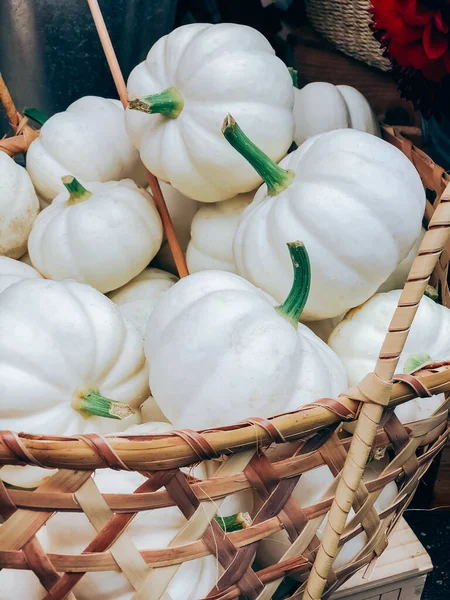 Beautiful Fresh Decorative White Pumpkins Pile Basket Small Florist Shop — Stock Photo, Image