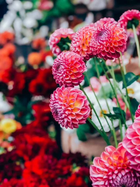 Krásné Dahlias Květiny Kytice Malém Květinářství Shop Moderní Styl Květin — Stock fotografie
