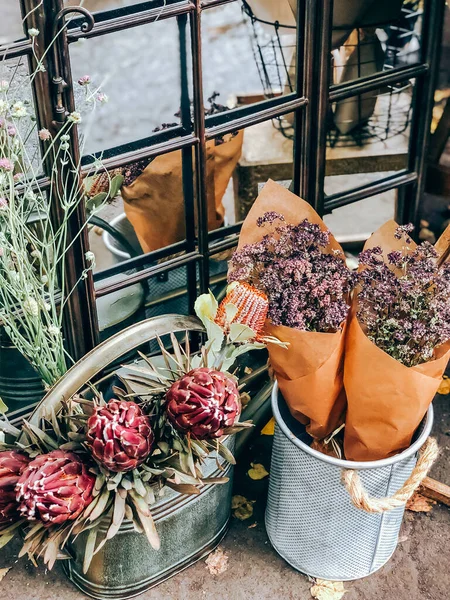 Beautiful Decorative Protea Flowers Plants Small Florist Shop Современный Стиль — стоковое фото