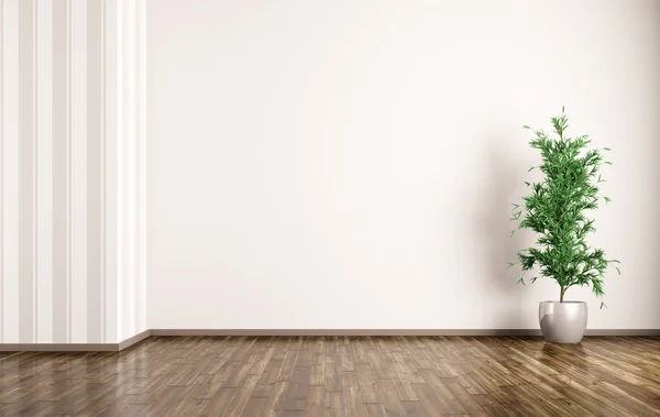 Interior background of room with plant 3d rendering — Stock Photo, Image