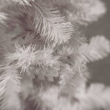 Beyaz Christmas dekorasyon kar tanesi köknar dallar ile 