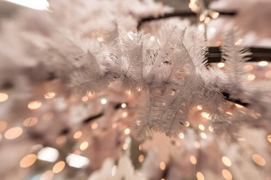 Beyaz Christmas dekorasyon kar tanesi köknar dallar ile 