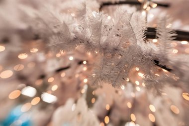 Beyaz Christmas dekorasyon kar tanesi köknar dallar ile 