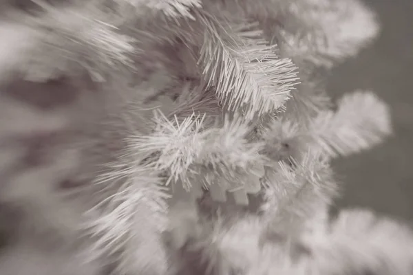 Decoración blanca de Navidad con copo de nieve en ramas de abeto —  Fotos de Stock