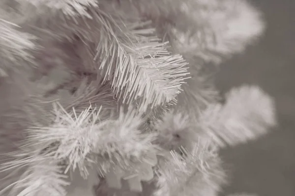 モミの枝に雪の結晶をホワイト クリスマスの装飾 — ストック写真