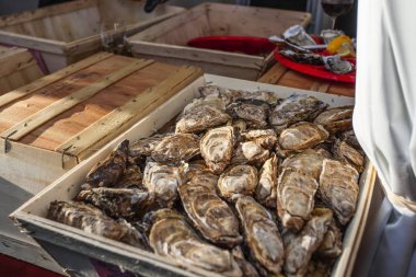 Taze deniz ürünleri-Paris pazarında Istiridye