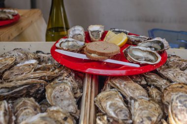 Festival pazarında taze istiridye tabağı