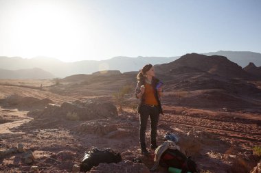 Jeolojik kaya oluşumları Timna Park İsrail'in kürsüye ziyaretçi.