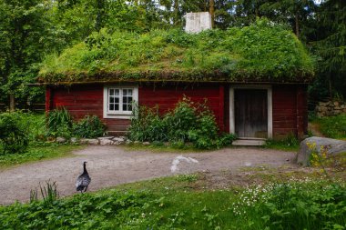 Etnografik park Açık Hava Müzesi