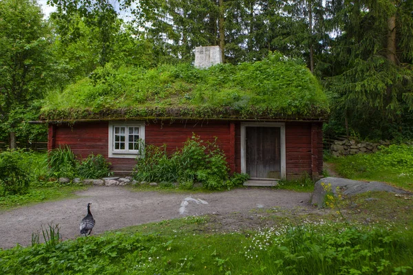 Ethnographic park  the open air museum — Stock Photo, Image