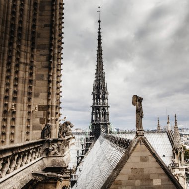 Notre Dame Katedrali 'nden Paris' e bakın