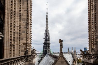 Notre Dame Katedrali 'nden Paris' e bakın