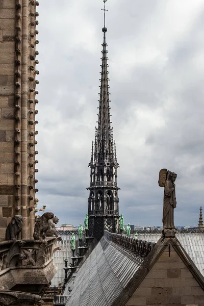 Vista sobre Paris formulário Catedral de Notre Dame — Fotografia de Stock