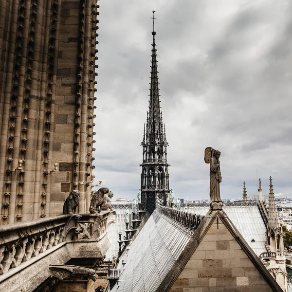 Вид на паризький собор Нотр-Дам — стокове фото