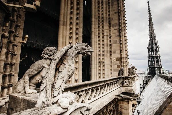 Вид на паризький собор Нотр-Дам — стокове фото