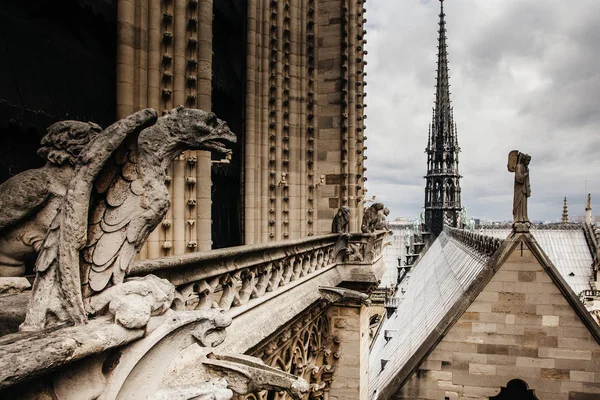 パリ・フォームでの眺めノートルダム大聖堂 — ストック写真