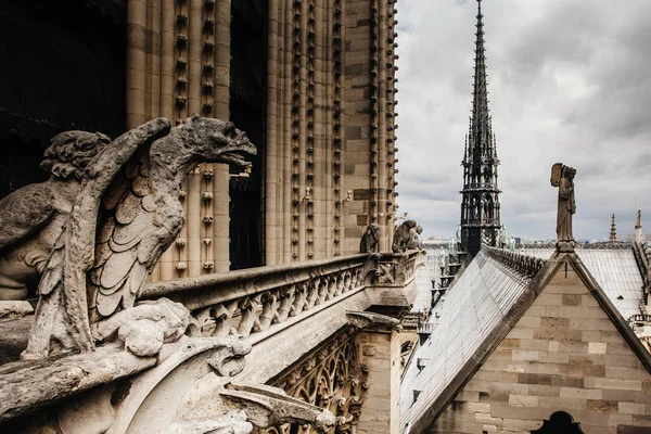 Vista sobre Paris formulário Catedral de Notre Dame — Fotografia de Stock