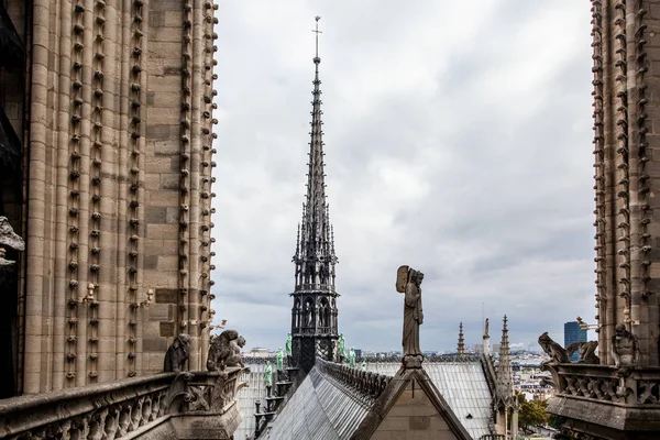 Vista sulla cattedrale di Notre Dame — Foto Stock