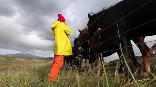 Young Happy Woman Bright Tellow Raincoat Red Cap Communicating Horses — Stock Video