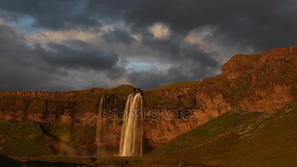 Seljalandfoss Vattenfall Sommarsolnedgången Island — Stockvideo