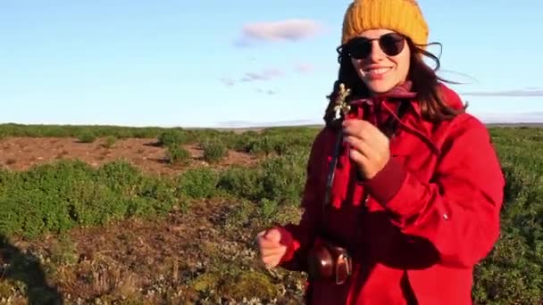 明亮的衣裳的年轻妇女冰岛的自然 Enjiying — 图库视频影像