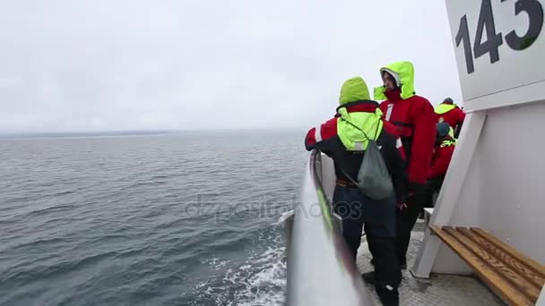 Husavik Ijsland Augustus 2017 Toeristen Een Walvisspottocht Een Kleine Speedboot — Stockvideo